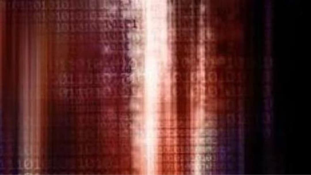 Survey reveals rising risks for organisations