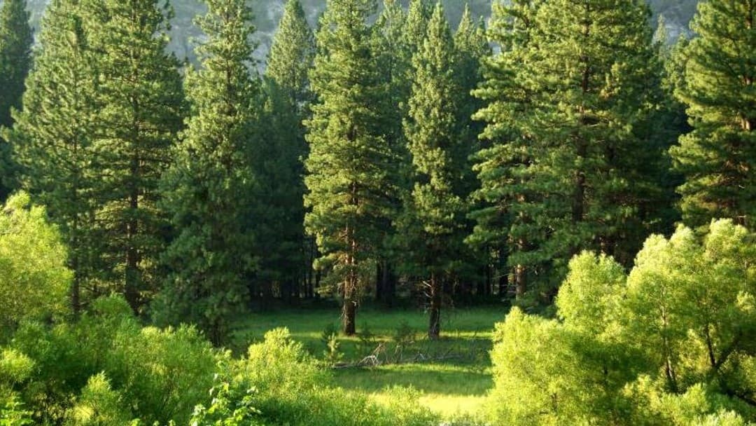 US state attorneys general warn companies